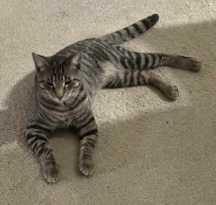Photo of Ninja