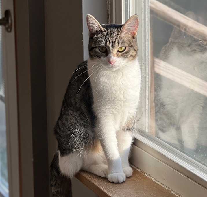 Photo of Lilly