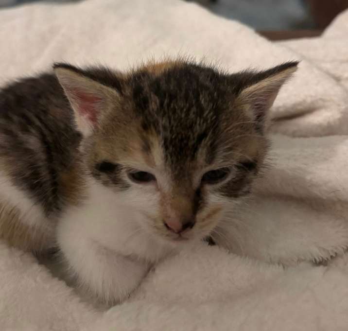 Photo of Olivia Bates