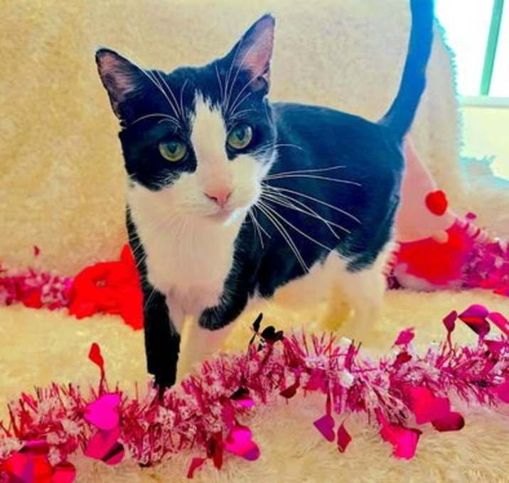 Photo of POM POM - Bonded with Luke