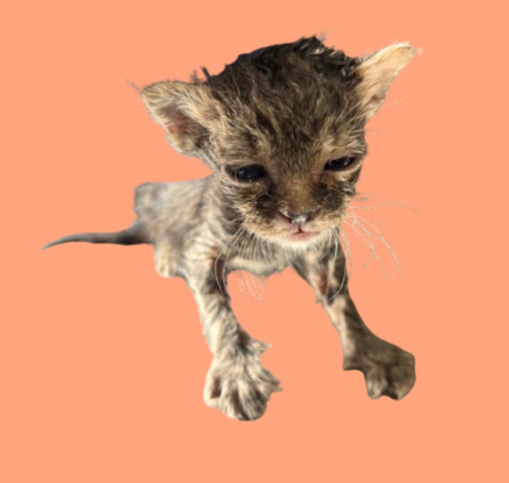 Photo of Charlie James