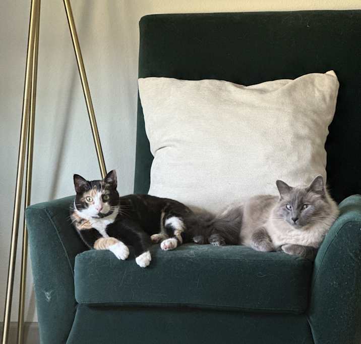 Photo of Atlas & Artemis