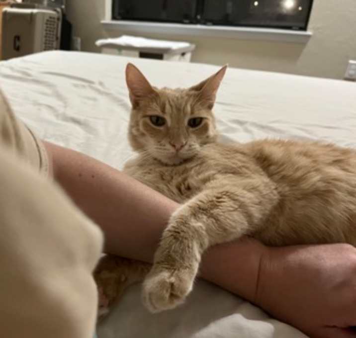 Photo of Peanut *SN* w/ Buttercup