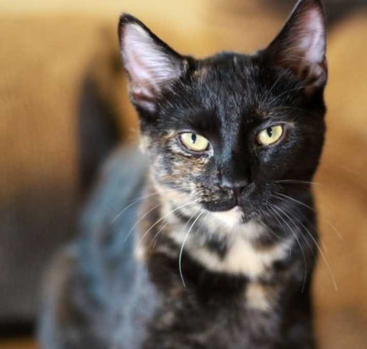 Photo of Rizz ⭐️