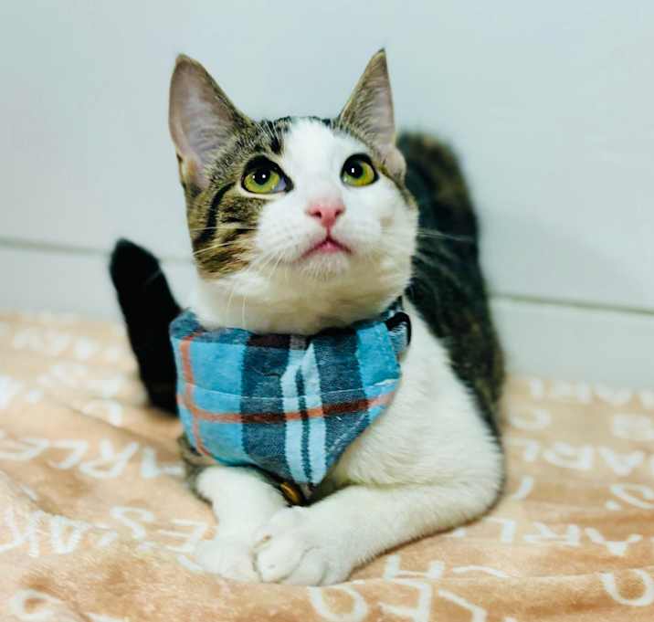 Photo of Sticky Note