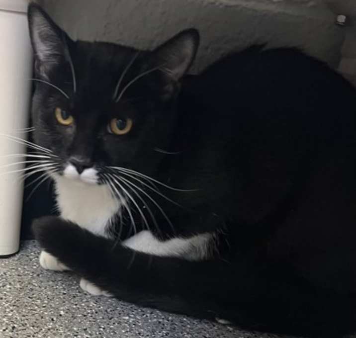 Photo of 656408 Cayenne