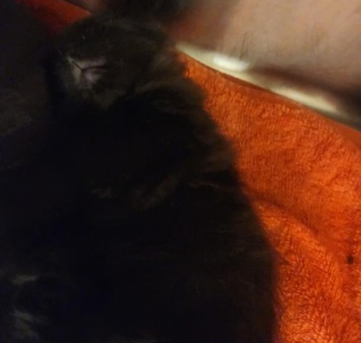 Photo of Clog CT2 10/8/25