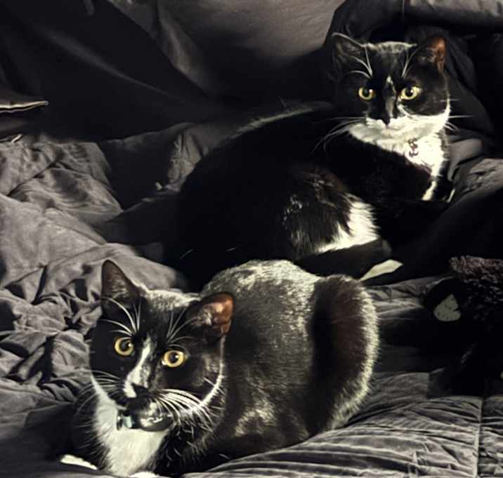 Photo of Mia and Riley