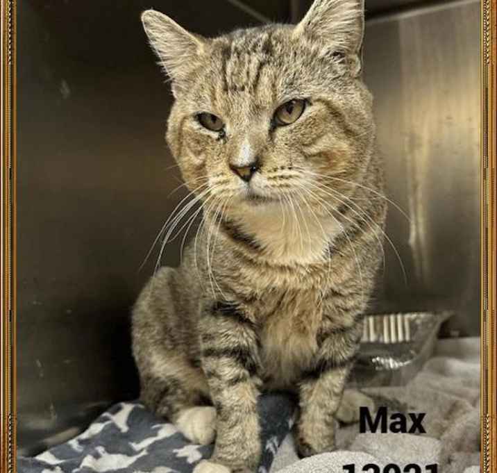 Photo of Max (640)