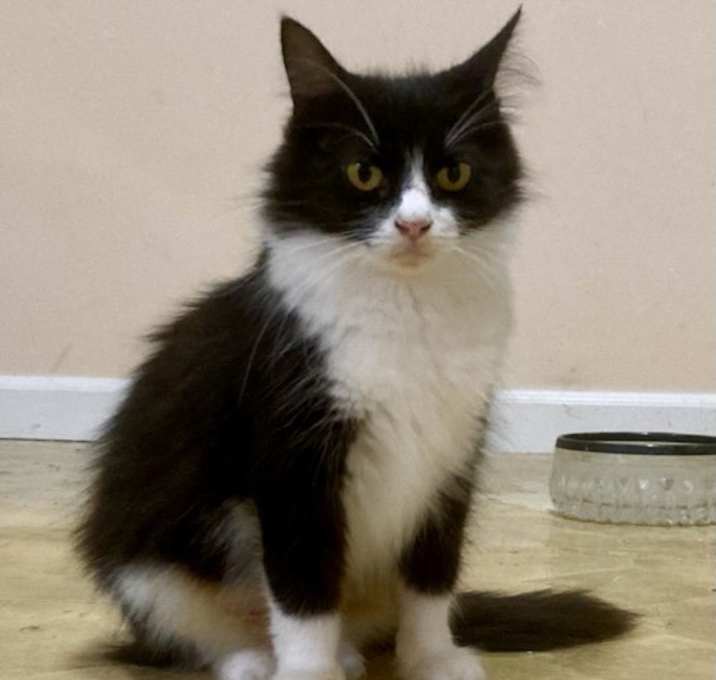 Photo of Fairy Tale25F