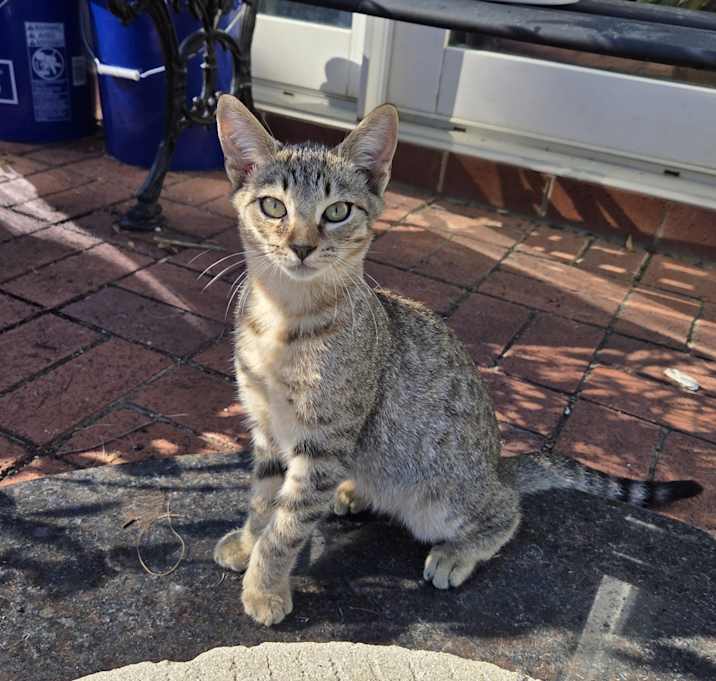 Photo of Kung Fu Hunter