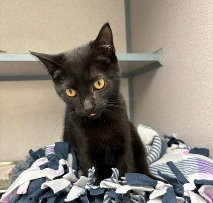 Photo of Mrs Worthington