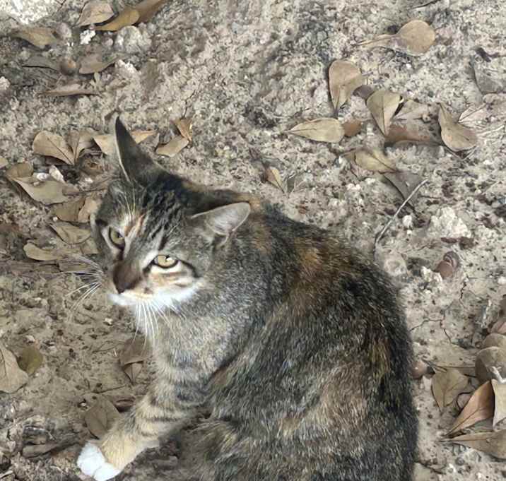 Photo of Has no name