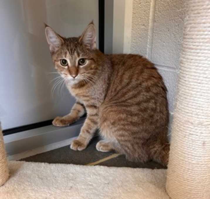 Photo of Hope-Stratford