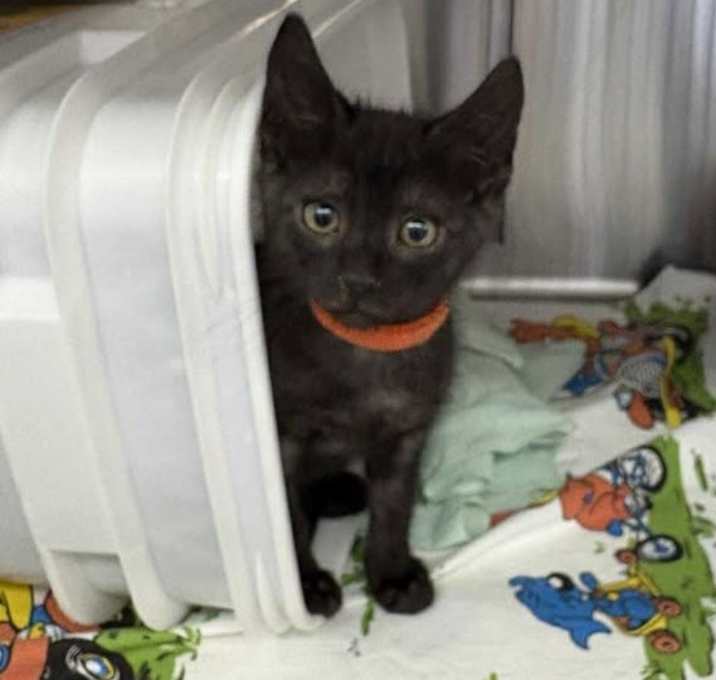 Photo of Arctic Glacier