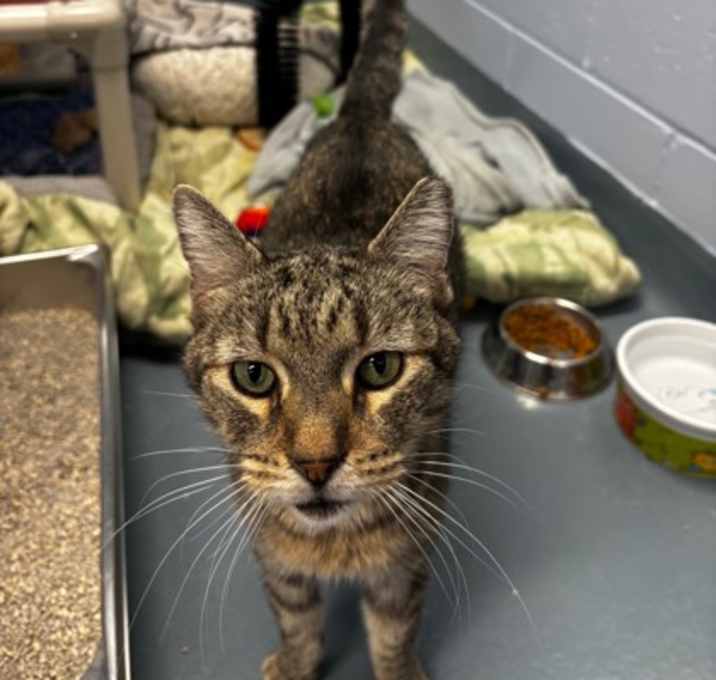 Photo of Kay- Kitchener