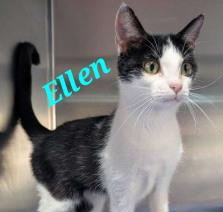 Photo of Ellen