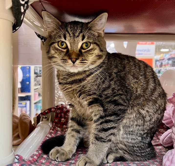 Photo of Prince (and Precious)