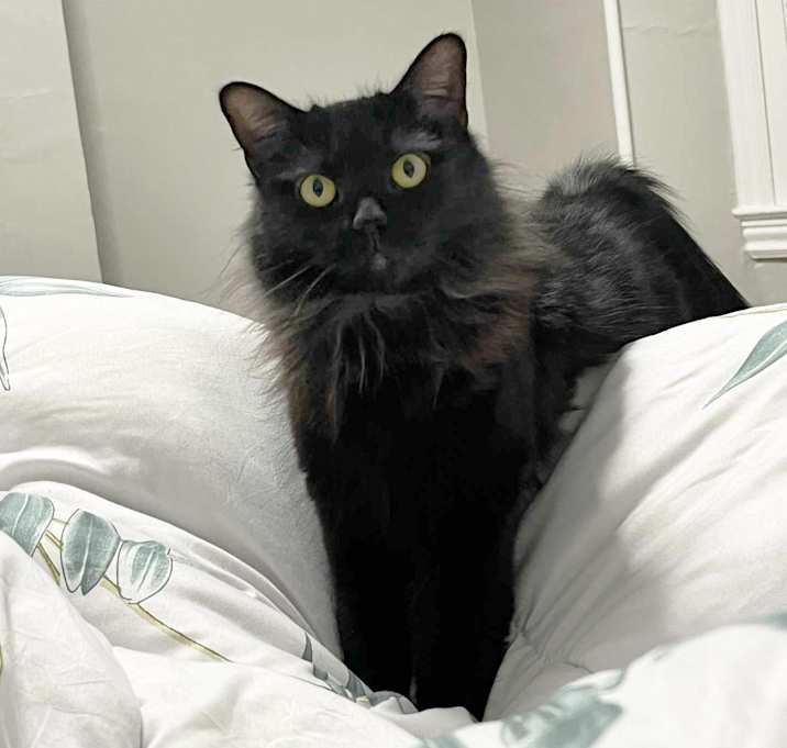 Photo of Wednesday Paxon