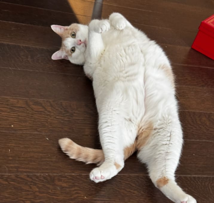 Photo of Draco Malfoy