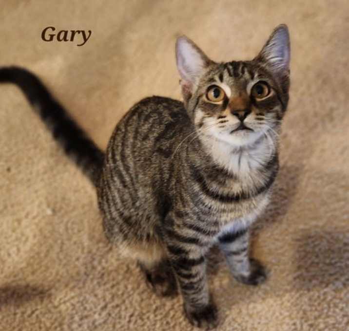 Photo of Gary