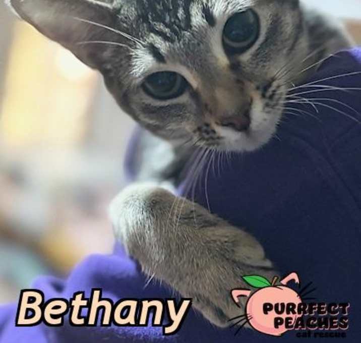 Photo of Bethany