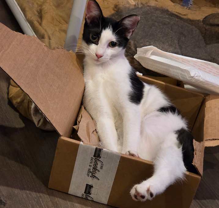 Photo of Miss Mooyagi