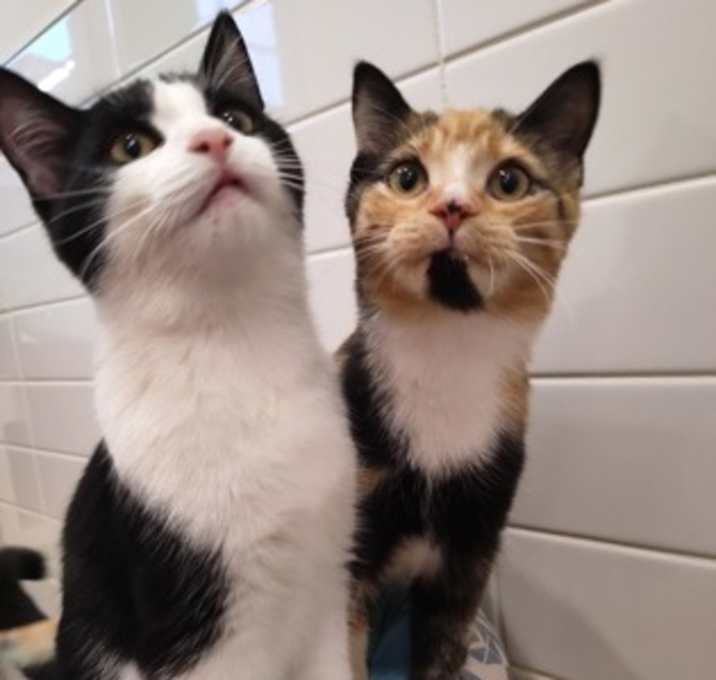 Photo of Gretchen & Candace