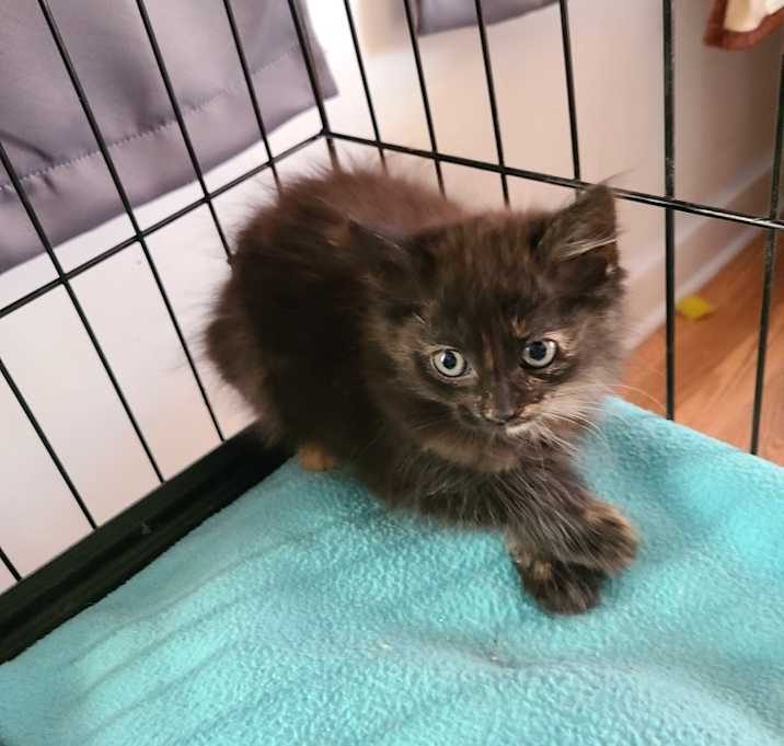 Photo of Autumn Hill