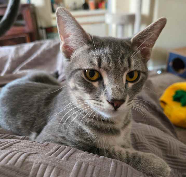 Photo of Flourescent