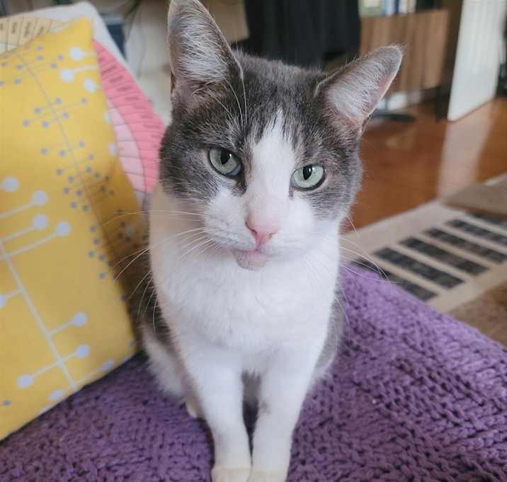 Photo of Stephanie (16565)