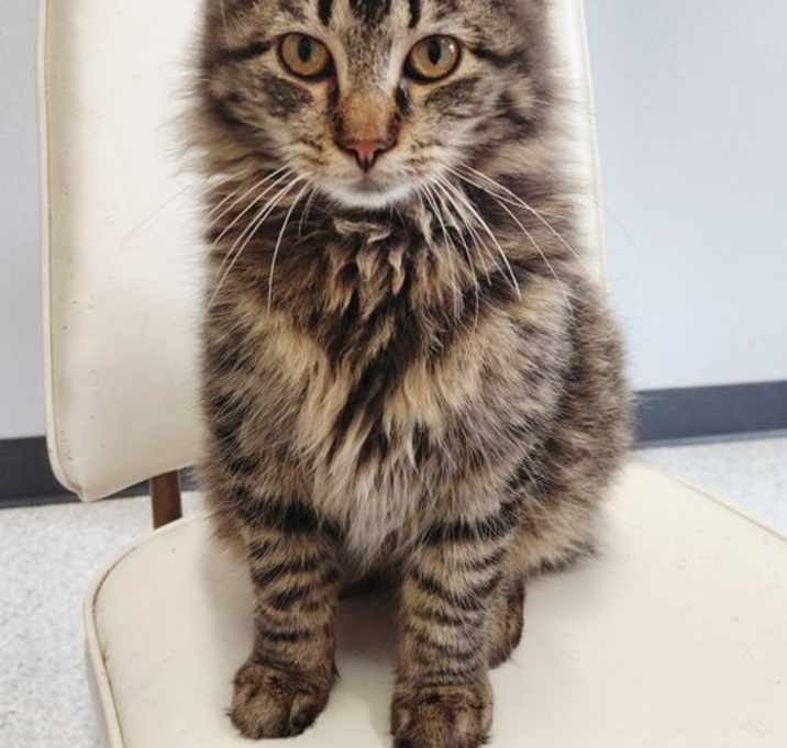 Photo of Jethro @ The Cat's Brew