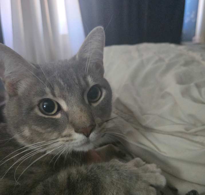 Photo of Dorian Gray