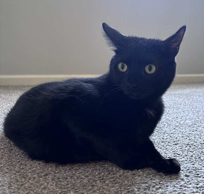 Photo of Mona & Bernie