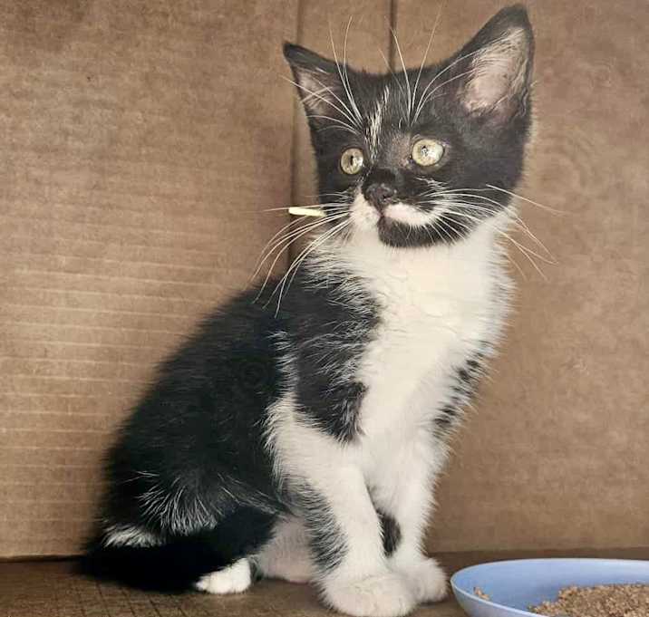 Photo of Baby Girl Zelda