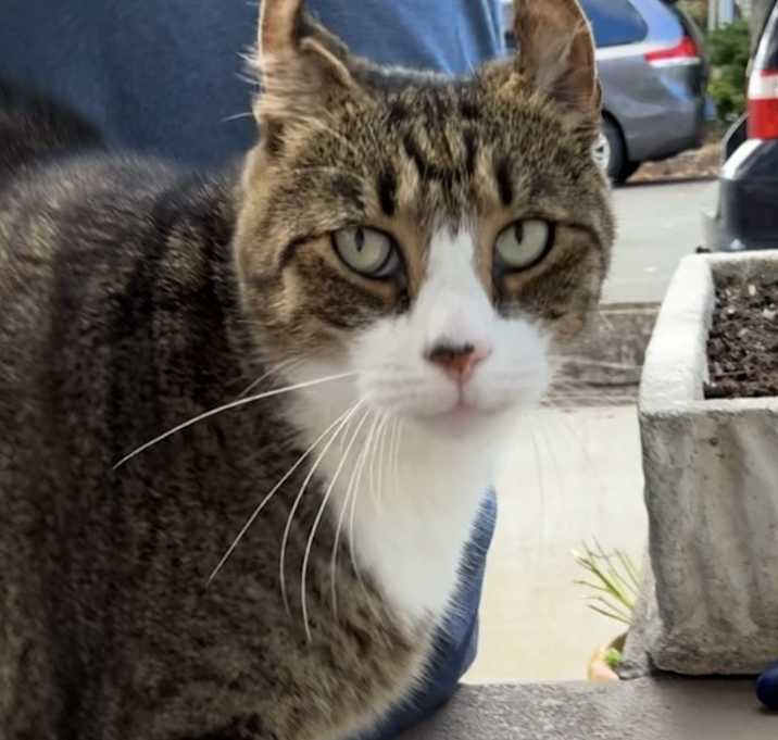 Photo of Alexander Hamilton (Alley)