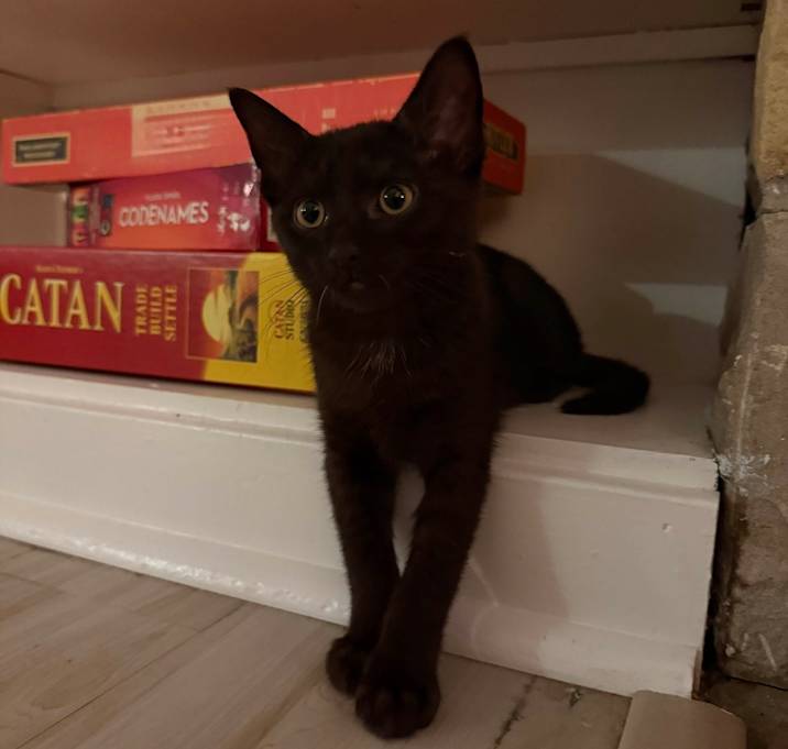 Photo of Black Sabbath