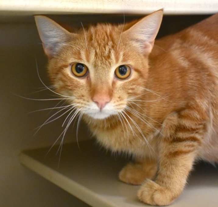 Photo of Buddy Buddy