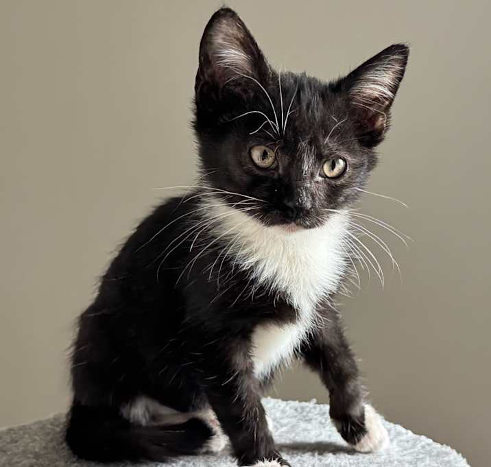 Photo of Class Clown