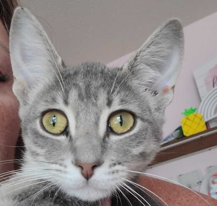 Photo of Sophie Cinnamon