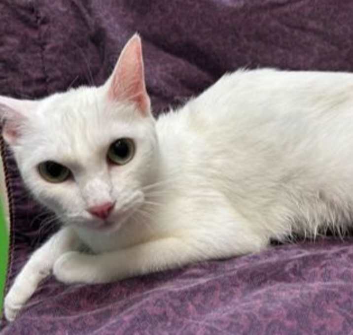 Photo of Ms Mashed Potatoes