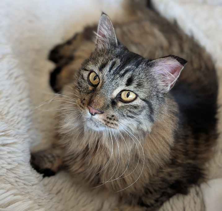 Photo of Pretty Girl