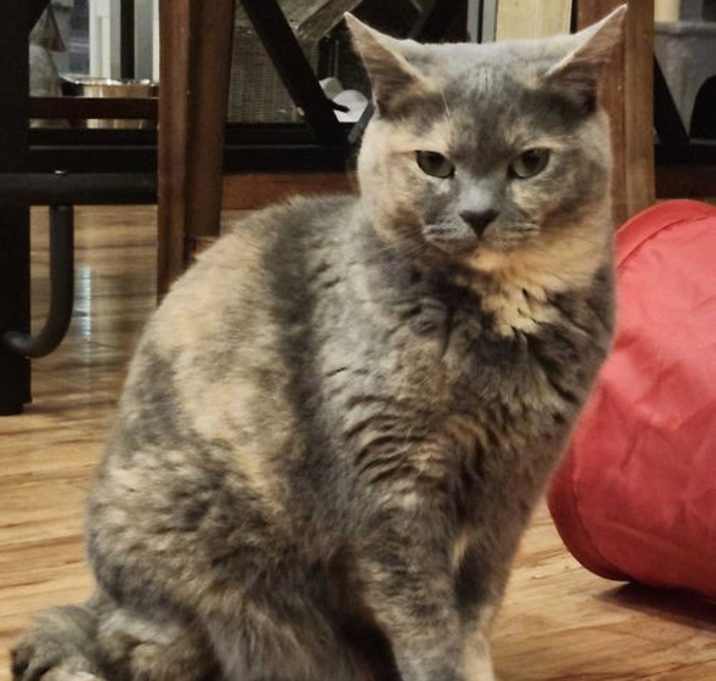 Photo of Dovey (Fka Marnie)