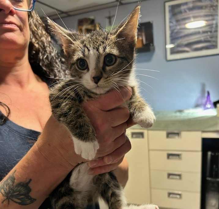 Photo of Sal Cypress