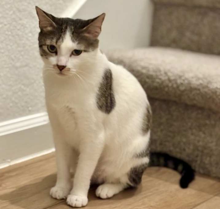 Photo of Baylor FOSTER