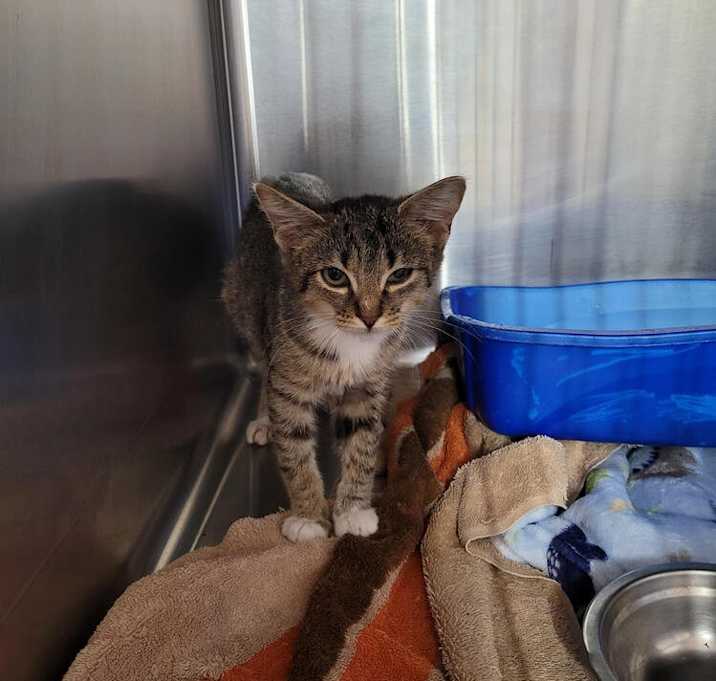 Photo of Lumpy Space Princess