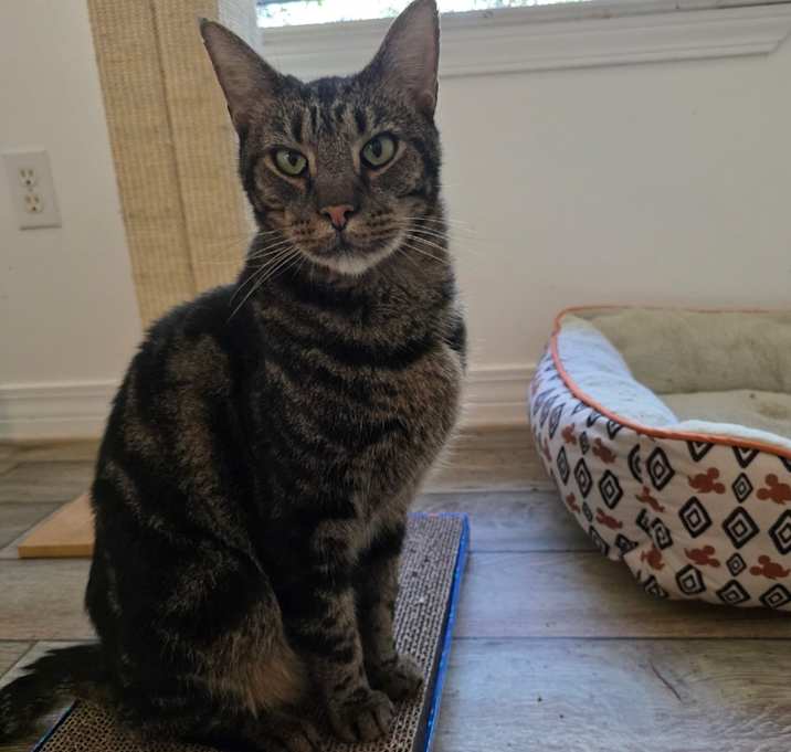 Photo of Abe A25-224