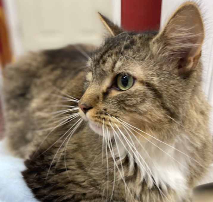 Photo of King Arthur