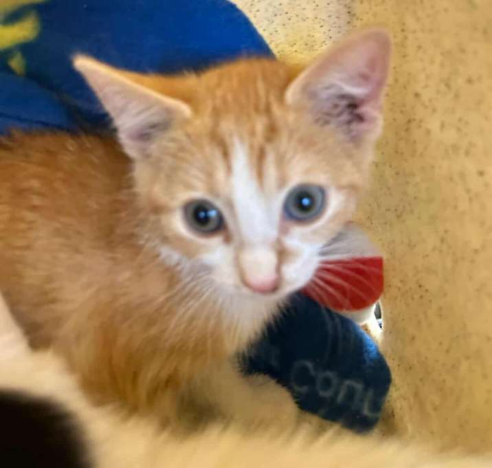 Photo of Mrs. Butterworth's 25-10-122