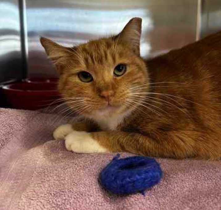 Photo of Holly in the Hallway